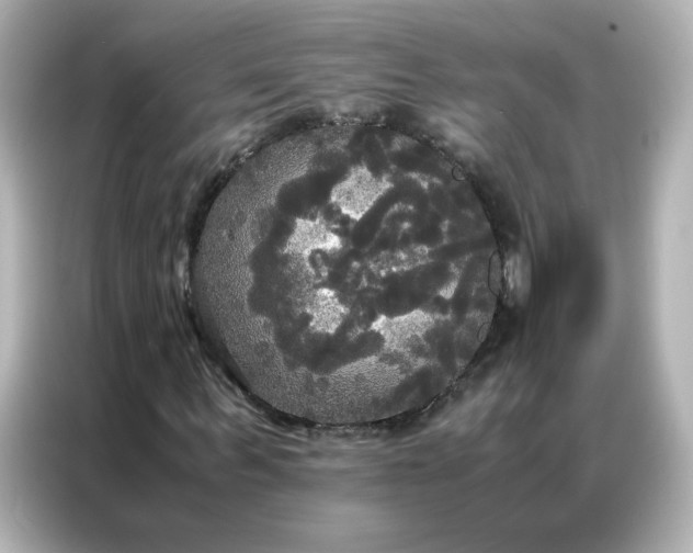 X0000086920963200704301054