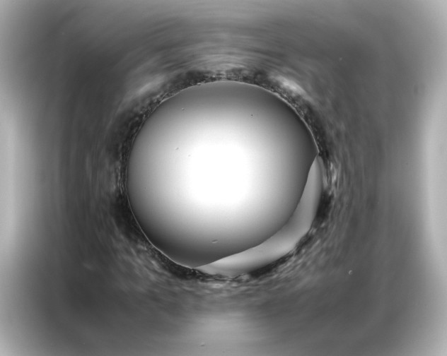 X0000086920965200704301054