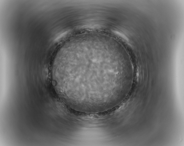 X0000086920966200704301054