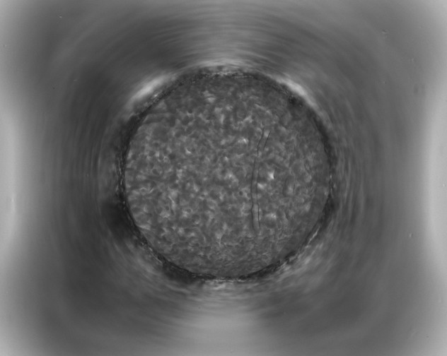 X0000086920967200704301054