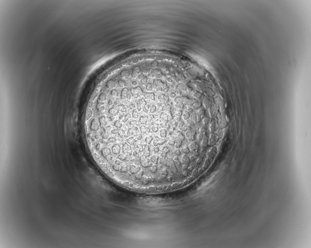 X0000086920971200704301054