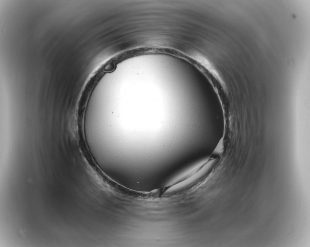 X0000086920972200704301054