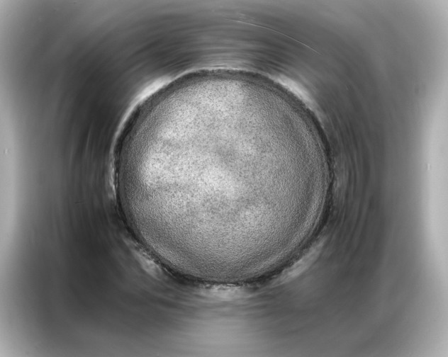 X0000086920974200704301054