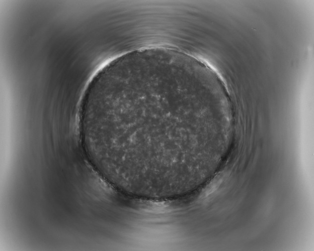 X0000086920975200704301054