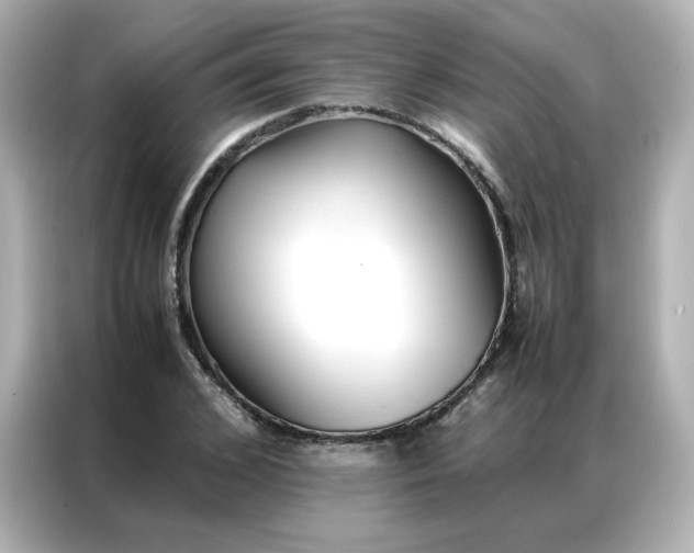 X0000086920976200704301054
