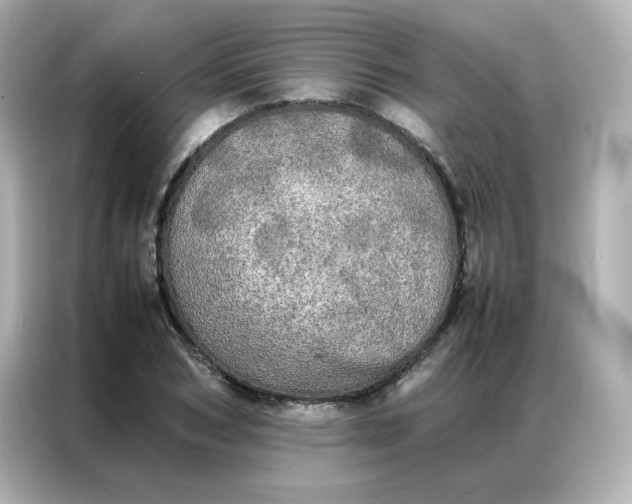 X0000086920978200704301054
