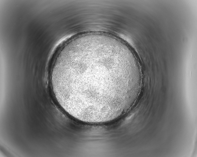X0000086920979200704301054