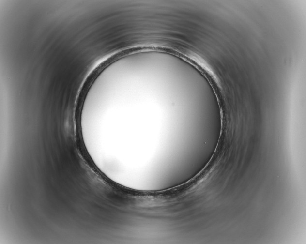 X0000086920980200704301054