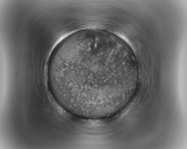 X0000086920983200704301054