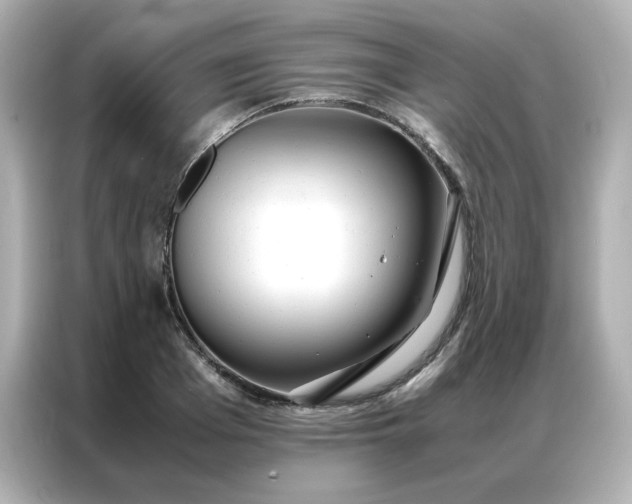 X0000086920985200704301053