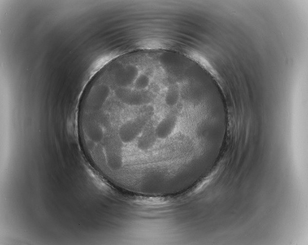 X0000086920986200704301053