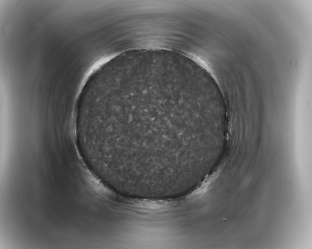 X0000086920987200704301053
