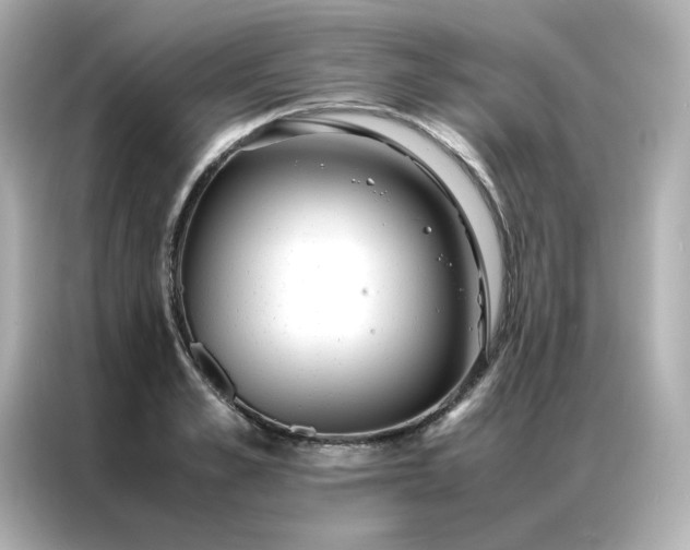 X0000086920989200704301053