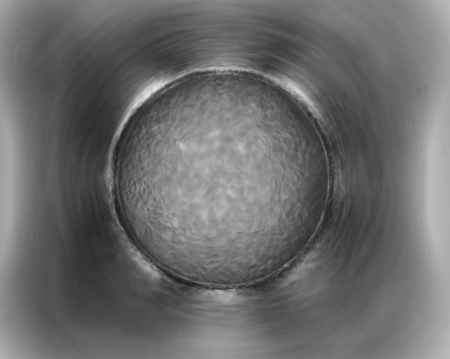 X0000086920990200704301053