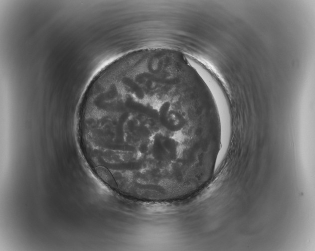 X0000086920991200704301053