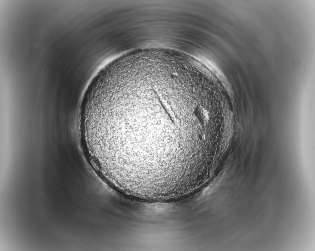 X0000086920992200704301053