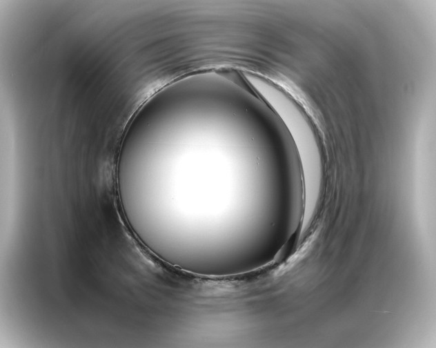 X0000086920993200704301053