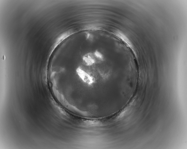 X0000086920994200704301053