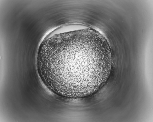 X0000086920995200704301053