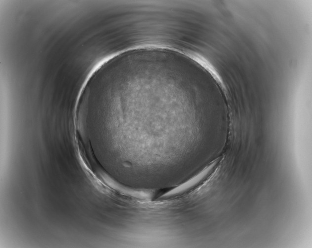 X0000086920996200704301053