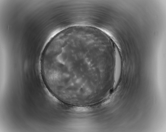 X0000086920998200704301053