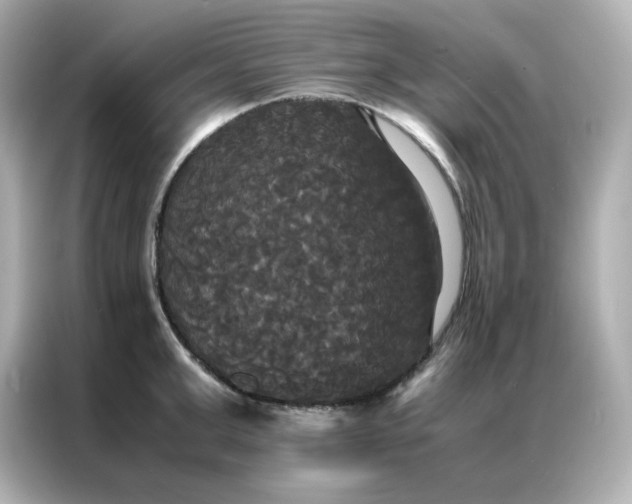 X0000086920999200704301053