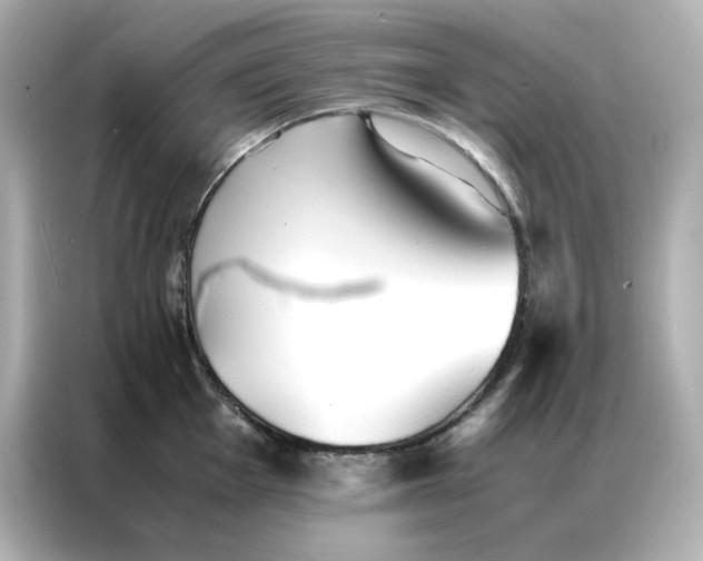 X0000086921001200704301053