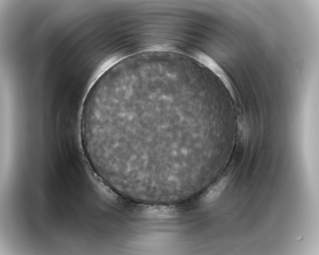 X0000086921002200704301053
