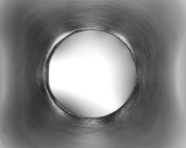 X0000086921003200704301053