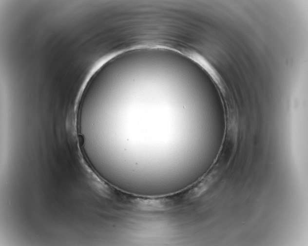X0000086921004200704301053