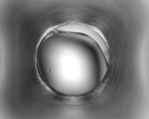 X0000086921005200704301053