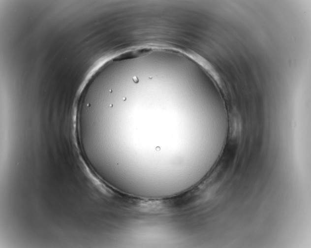 X0000086921006200704301053
