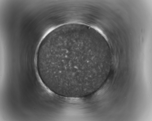 X0000086921007200704301053