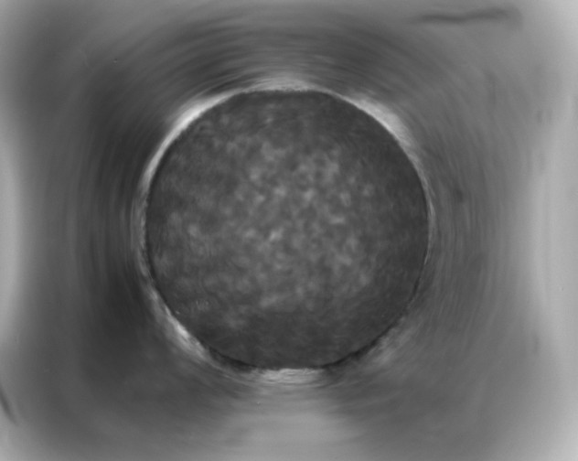 X0000086921008200704301053