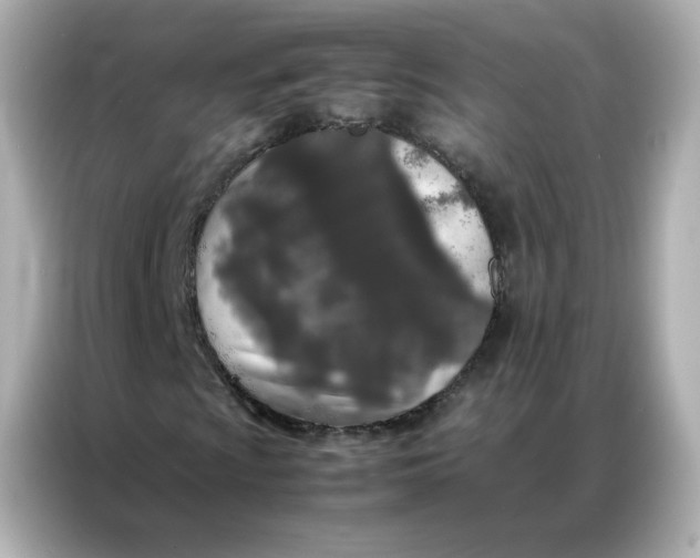 X0000086921009200704301053