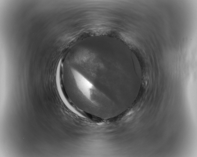 X0000086921010200704301053