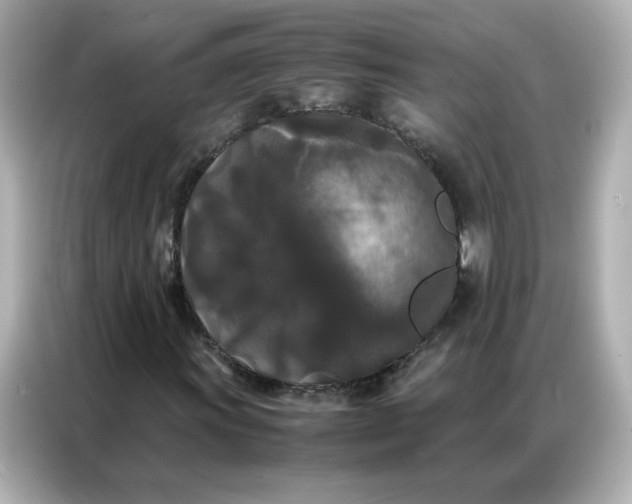 X0000086921011200704301053