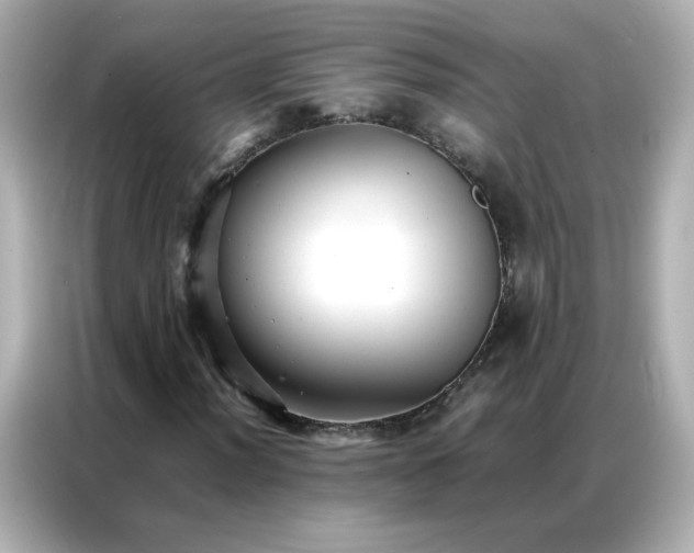 X0000086921012200704301053