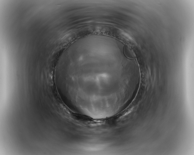 X0000086921013200704301053