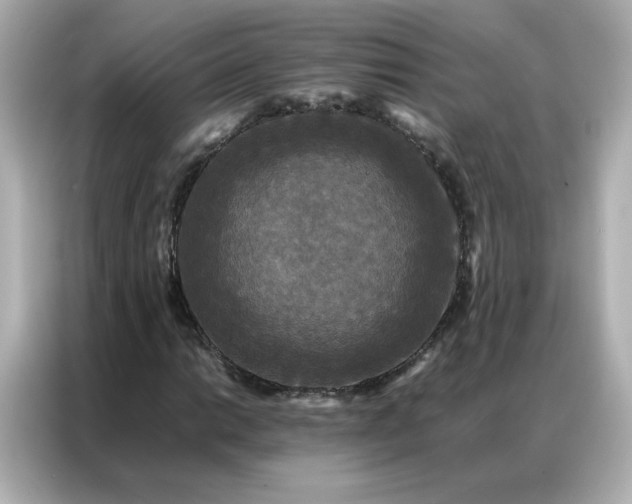 X0000086921014200704301053