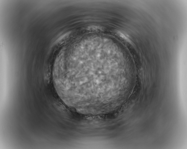 X0000086921015200704301053