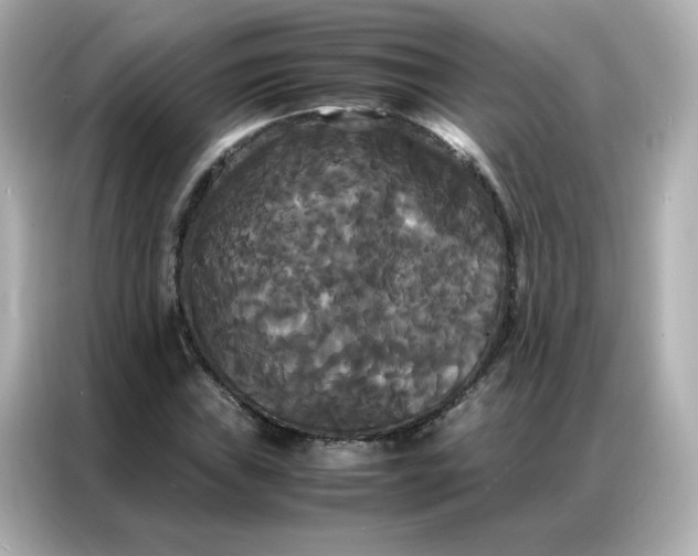 X0000086921019200704301053