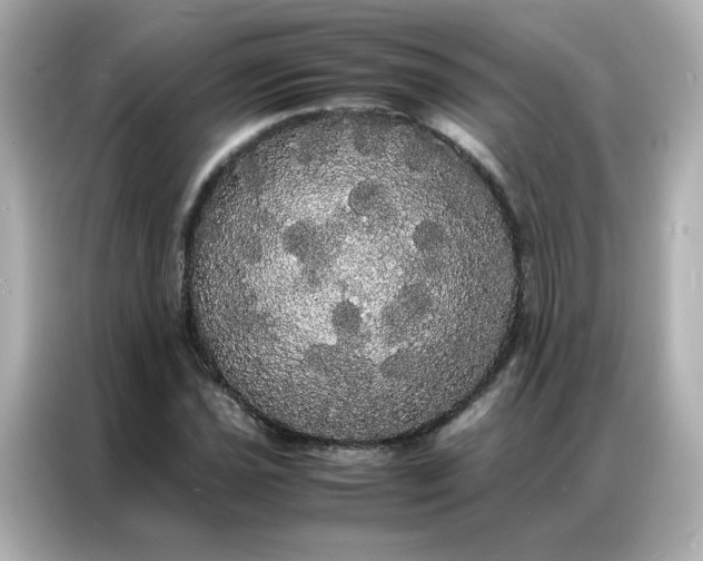 X0000086921021200704301053