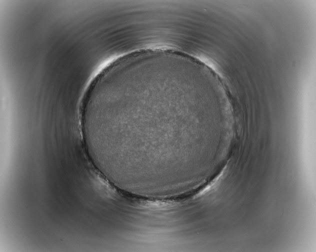 X0000086921022200704301053
