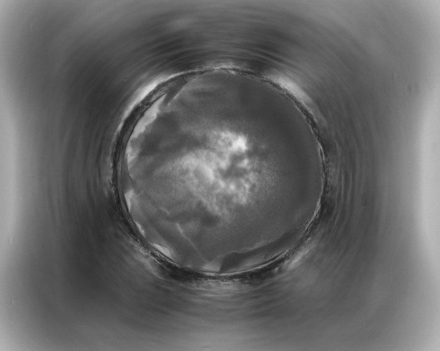 X0000086921023200704301053