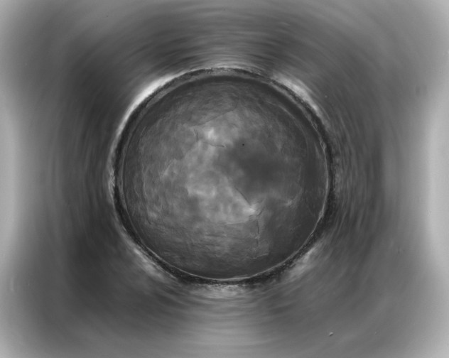 X0000086921024200704301053