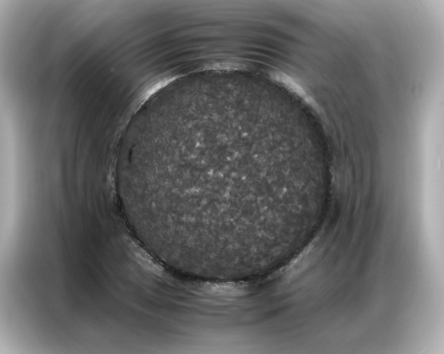 X0000086921025200704301053