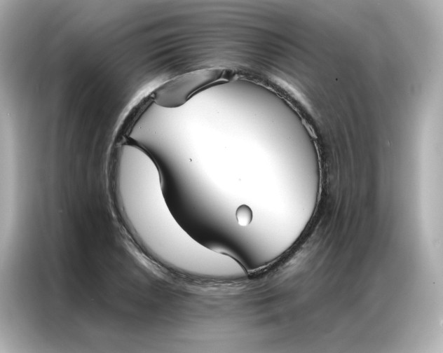 X0000086921026200704301053