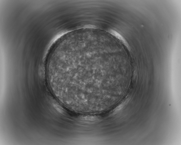 X0000086921027200704301053