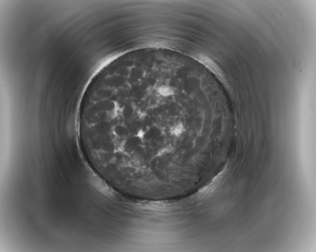 X0000086921028200704301053